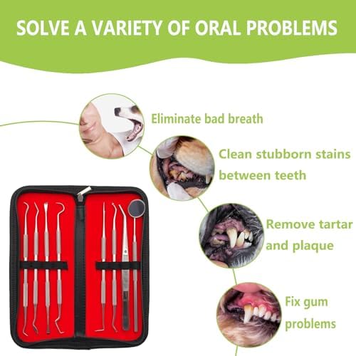 8 Pcs Dental Tools Pet Dog Teeth Cleaning Tool Kit, Stainless Steel Dental Picks Mouth Mirror Tooth Scraper Plaque Tartar Remover, Pets Oral Care Hygiene Set for Dogs and Cats Use with Case - Image 6