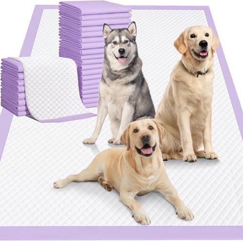 Gimars 36x36 XXXL Lavender Scented Ultra Absorbent 6-Layer Dog Pee Pads Extra Large, Leakproof Puppy Training Pads Quick-Dry Wee Wee Pee Pads for Dogs, Perfect for Puppies, Adult Senior Dogs by Gimars
