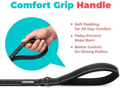 Best Pet Supplies Voyager Nylon Dog Leash - 6ft Black, Large - Image 5