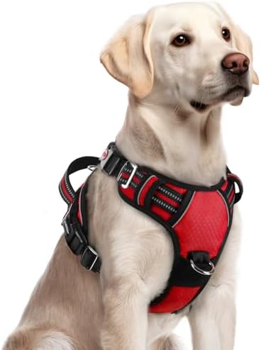 rabbitgoo Dog Harness for Large, No Pull 3 Buckles Easy On & Off by rabbitgoo