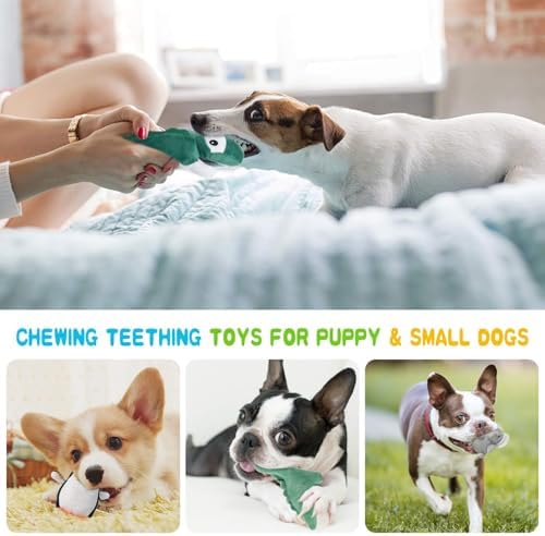 Squeaky Dog Toy for Puppy Small Medium Dogs, Stuffed Samll Dog Toys 12 Pack - Image 5