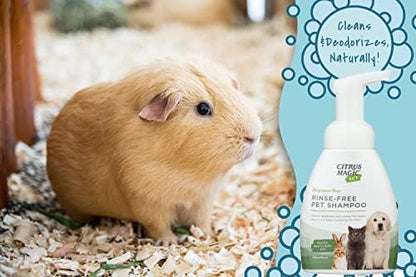 Citrus Magic Pet Rinse-Free Pet Shampoo, 8 Fluid Ounce, 2 Pack - Image 4