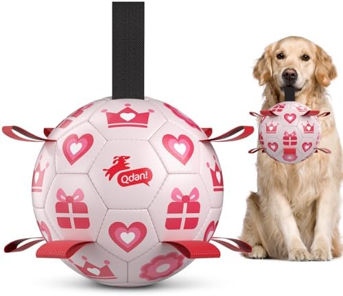 QDAN Valentines Gift Dog Toys, 8 Inch Dog Soccer Ball with Straps, Pink by QDAN