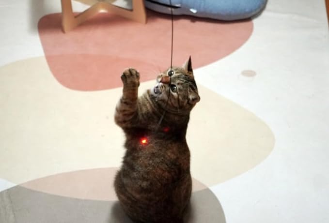 Firefly Feather Laser Cat Interactive CAT Toy Laser Firefly Hunting (RED)