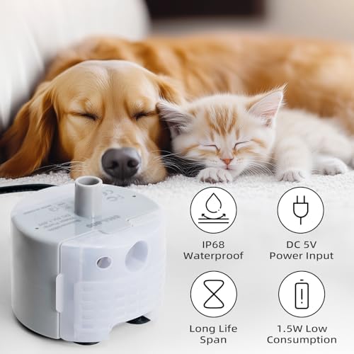 Ultra-Quiet Replacement Pump for Stainless Steel Cat Water Fountains - SMA-800 Motor - Safe and Easy to Clean with Low Voltage DC 5V and USB Cable (Pump) (Bottom Pump) - Image 3