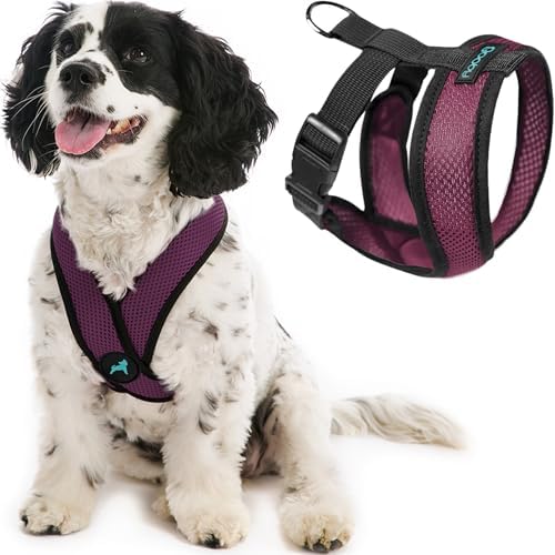 Gooby Comfort X Head-in Dog Harness, Choke-Free, Purple, Large by Gooby