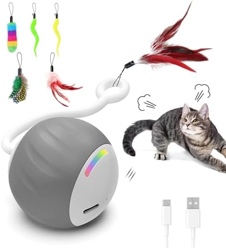 Upgraded 2.36 Inch Large Interactive Cat Toys Ball for Indoor Cats, Gray by GOGODOGYA