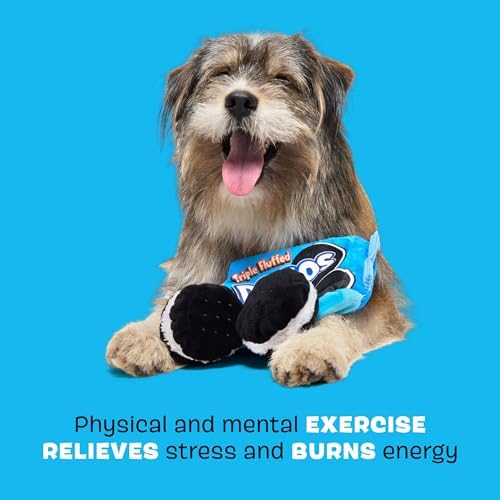 BarkBox Dogo Dunkers Plush Dog Toy - for Extra Small to Medium Dogs - Image 3