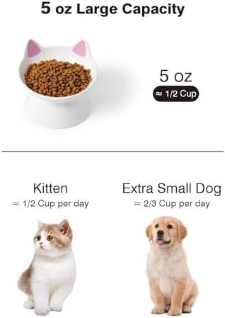 ABRUTY Cat Food Bowl, 5 OZ Ceramic Elevated Kitten Water Bowl, 15° Tilted Raised Pet Feeder, Anti Vomiting and Whisker Friendly Dishes for Fat Faced, Cat, Kitten, Small Dog - Image 2