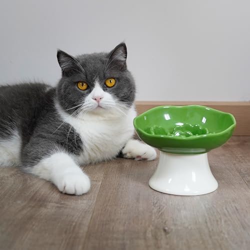 Ceramic Slow Feeder Bowl for Cats and Small Dogs, Elevated Tilted Pet Food Dish, Whisker Friendly Anti-Vomit Design, Heavy Stable Base, Dishwasher Safe， 5 Colors Options (Leaf Green) - Image 6