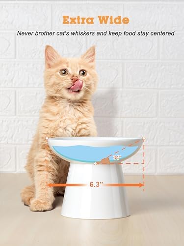 LoeJan Elevated Food and Water Bowls Set, Extra Wide and Raised Ceramic Feeder, Anti-Vomit Whisker-Free Pressure Cat Feeding Bowl for Kittens Adult Cats Small Dogs (White, Food Bowl) - Image 5