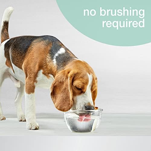 Nylabone Advanced Oral Care Pet Dental Water Additive, Liquid Tartar Remover & Breath Freshener for Dogs, Dog Teeth-Cleaning, Peppermint Flavor, 16 oz. - Image 3