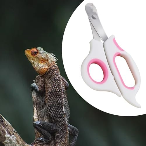 Bearded Dragon Nail Clippers with Precise Angled Edges - Image 5