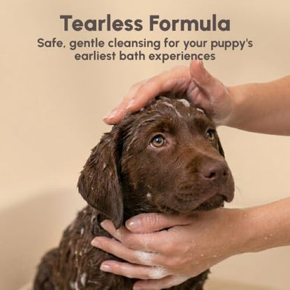 Best Shot Scentament Spa Caressing Puppy Wash, Wild Orchid Vanilla, 16 oz - Image 2