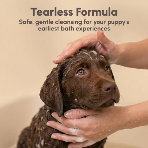 Best Shot Scentament Spa Caressing Puppy Wash, Wild Orchid Vanilla, 16 oz - Image 2