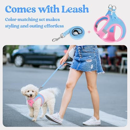 rabbitgoo Dog Harness Small Sized and Leash Set, Step-in Puppy Pet Vest - Image 5