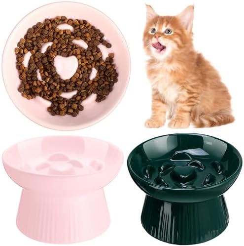 Tioncy 2 Pcs Ceramic Elevated Slow Feeder Cat Bowl, Pink, Dark Green by Tioncy