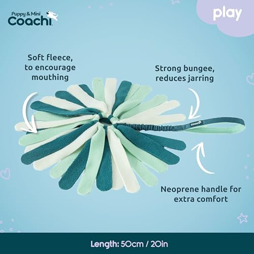 Coachi Puppy & Mini Tuggi Spider - Dog Toy for Tug of War & Play - Image 4