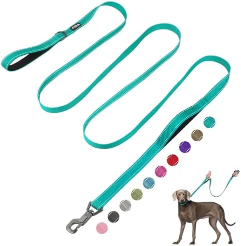 Fida 10 FT Heavy Duty Dog Leash, Dual Padded Handles for Medium Large Dogs by Fida