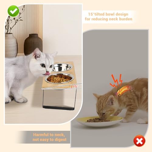 Elevated Cat Bowl, 2 PCS 15°Tilted Cat Bowl Stand with 2 Stainless Steel Bowls for Indoor Cats and Pet, Raised Cats Bowls for Food and Water - Image 2