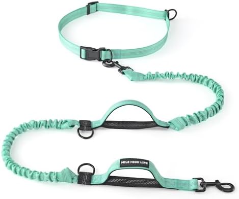 Mile High Life Hands Free Leash, Waist Leash for Dog Running Training and Jogging, Adjustable Belt with Double Padded Handle, Reflective Bungee for Medium Large Dogs (Teal, 7FT) by MileHighLife
