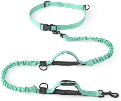 Mile High Life Hands Free Leash, Waist Leash for Dog Running Training and Jogging, Adjustable Belt with Double Padded Handle, Reflective Bungee for Medium Large Dogs (Teal, 7FT) by MileHighLife