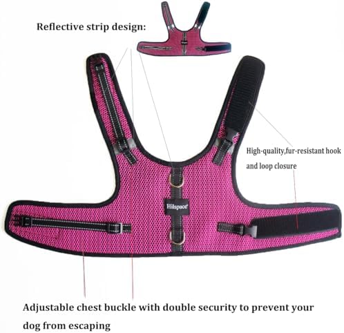 Mini Dachshund Harness – No Armpit Rub, Escape Proof, Reflective, No Pull Vest-Style Dachshunds Harness,Breathable Mesh Dog Harness (Rose Red, M: Chest 42-52cm (16.5"-20.5")) - Image 2