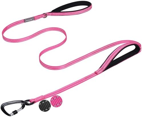 VIVAGLORY Double Handle Dog Leash Twingrip, 5ft x 1/2in, Pink-Carabiner by VIVAGLORY