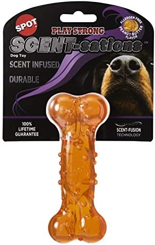 SPOT Play Strong Scent-sations Bone- Scent-Infused, Strong, Durable TPR Rubber, Heavy Duty Dog Toys for Aggressive Chewers up to 45lbs, Great for Puppies & Medium Breeds, 5in, Peanut Butter Flavored by SPOT