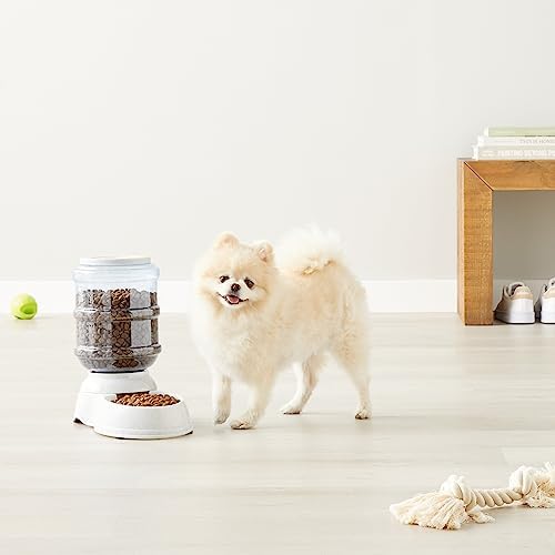 Amazon Basics Gravity Pet Food Feeder for Dogs and Cats, Easy to Clean, Easy to Fill, Removable Lid, 152fl.oz Capacity, Small - Image 7