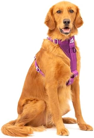 Kurgo Enhanced Strength Tru-Fit Smart Harness, Deep Violet, Large by Kurgo