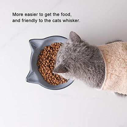 Nihow Elevated Cat Bowls,6 Inch Ceramic Raised Cat Food Bowl for Feeding - Image 5