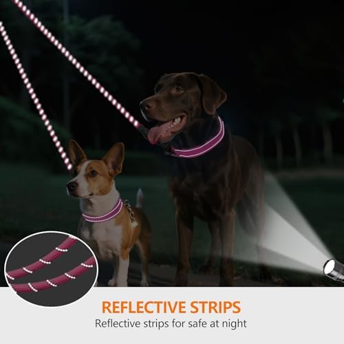 Taglory Double Dog Leash Coupler for Two Dogs, 1/3" Lightweight Dual Leash Extension for Small and Medium Dogs, No Tangle 360° Swivel, Reflective Rope, 30 Inch, Pink - Image 4