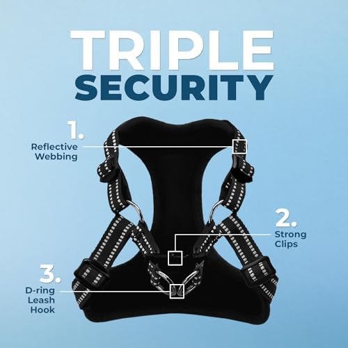 Best Pet Supplies Voyager Adjustable Step-in Flex Breathable Mesh Dog Harness for Small Medium Large Dogs Leash Set (Black), XL - Image 2