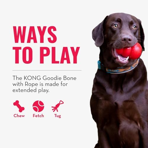 KONG Puppy Goodie Bone with Rope, Natural Rubber, for XS Puppies, Blue - Image 4