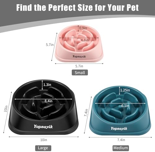 Slow Feeder Dog Bowls for Large Dogs - Image 2