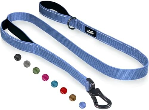 Twoear 4FT 1IN Heavy Duty Dog Leash for Large Dogs with 2 Padded Handles by TwoEar