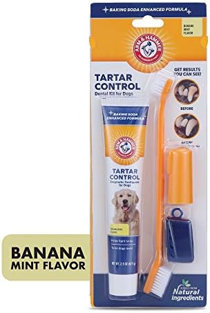 Arm & Hammer Tartar Control Dog Dental Kit, Banana Mint, 3-Piece, 2-Pack - Image 6