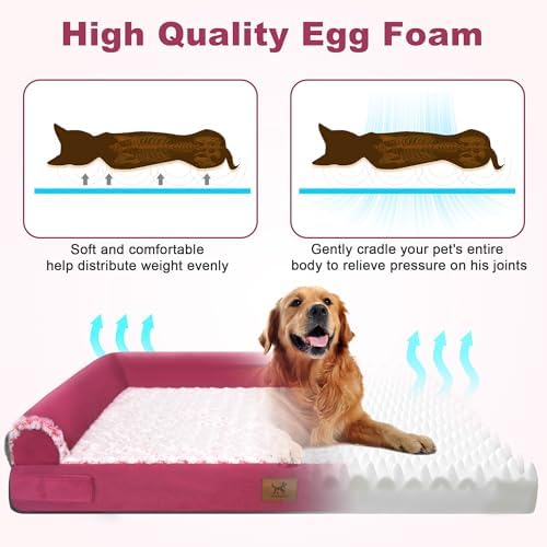 Orthopedic Dog Bed for Medium Dogs, Egg-Crate Foam with Bolster, L - Image 3