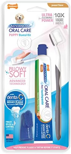 Nylabone Advanced Oral Care Puppy Dental Kit with Pillowy Soft-Bristle Toothbrush Peanut Butter (3 Count) by Nylabone