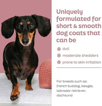 True Coat Short & Smooth Coat Dog Shampoo, 5 in 1 Soothes & Shines with Oat Milk, Coconut Oil & Vitamin E, 16 oz - Image 3