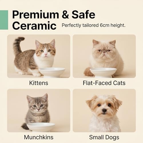 YULL Raised Ceramic Cat Bowls, 6" Wide 2.4" Tall Elevated White Cat Food and Water Dish, Shallow Wide Bowl for Whisker Fatigue Relief (2 Pack) - Image 5