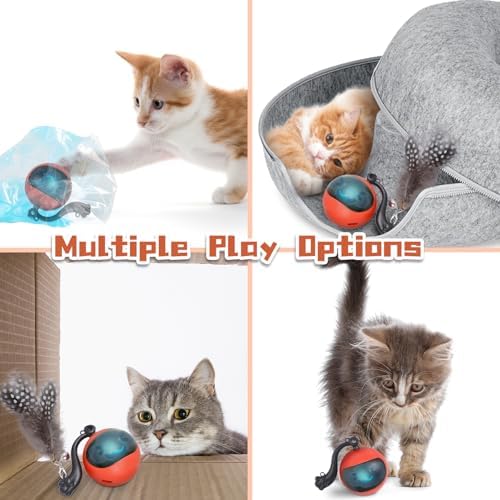 Interactive Cat Toy Ball, Automatic Self-Rolling Cat Toy with Feather Tail, Rechargeable Smart Cat Ball for Indoor Cats（Red） - Image 4