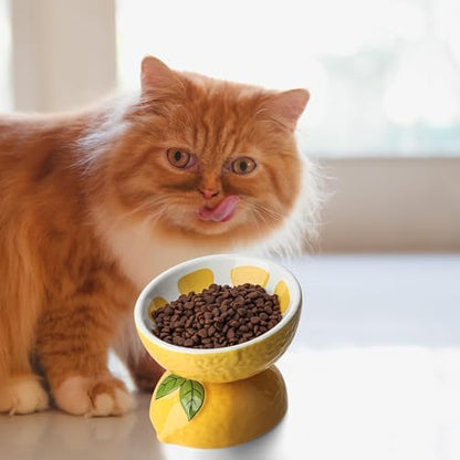 Elevated Cat Food Bowls for Indoor Cats Ceramic Raised Cat Bowl for Food and Water (Yellow) - Image 6