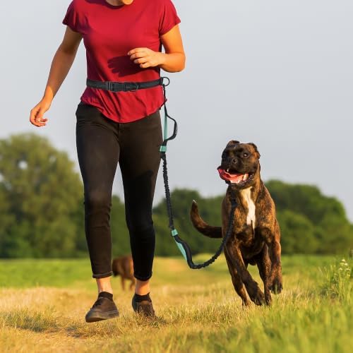 Mile High Life Hands Free Leash, Waist Leash for Dog Running Training and Jogging, Adjustable Belt with Double Padded Handle, Reflective Bungee for Medium Large Dogs ((Black Teal, 7FT) - Image 2