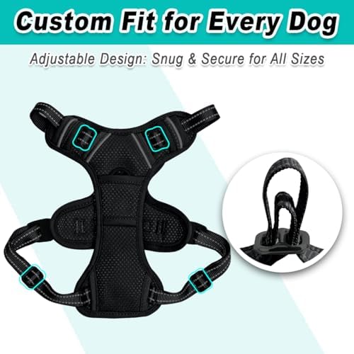 BARKBAY Dog Harness for Small Sized Dog No Pull Mesh 2 Clips Dog Vest - Image 6