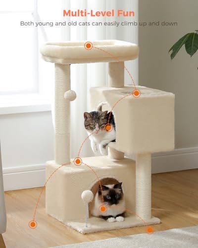 Small Cat Tree for Kittens, 32 in Cat Tower with 2 Cozy Condos - Image 6