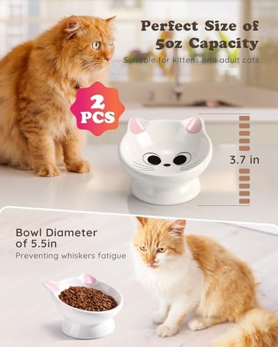2Pcs Raised Cat Food Bowl Ceramic 15° Tilted Cat Food Bowls Protect Cat's Spine Anti Vomiting Backflow Prevention Bowls for Adult, Kitten, and Small Dogs, Pink - Image 2