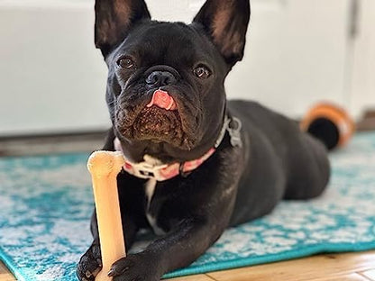 Nylabone Power Chew Original Bone Dog Chew Toy, Original Flavor, Small - Image 2