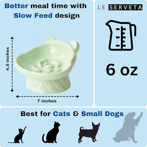 Winnie The Pooh Series Ceramic Slow Feeder Cat Bowl, Raised Anti-Gulping Design with Bear Ears, Pastel Colors, Quilted Pattern Base (Green) - Image 2